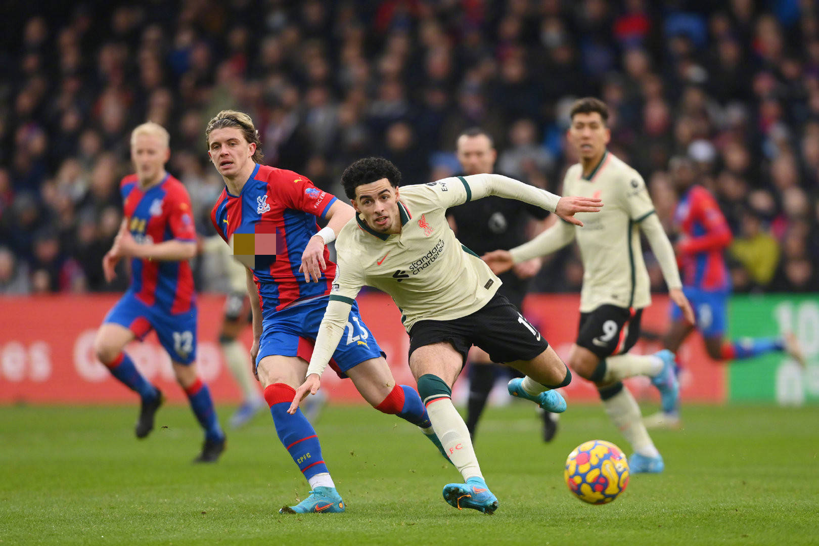 这也印证了 这也印证了